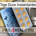 Tige Dure Instantanée 44